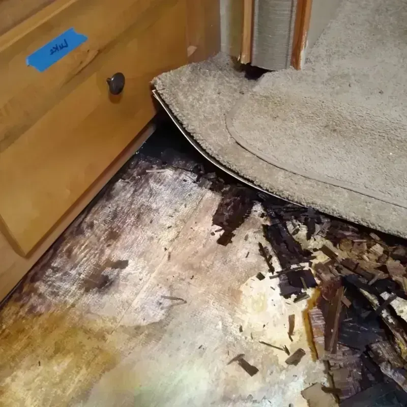 Wood Floor Water Damage in Dickinson, TX